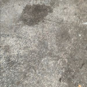 Meet your Posher, Alexander